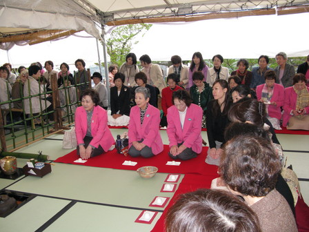 sakura02.JPG